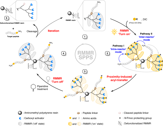 Solid-phase synthesis of sterically hindered peptides via ribosome-mimicking molecular reactors
