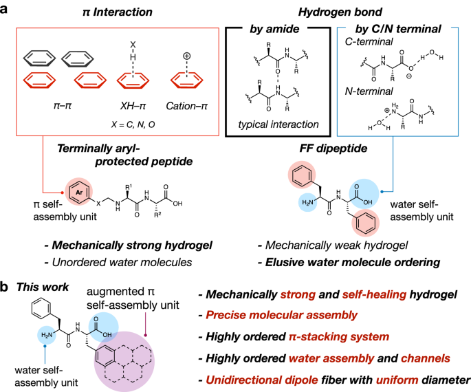 Atomic-precision π-driven peptide hydrogel nanofibers with ordered water channels