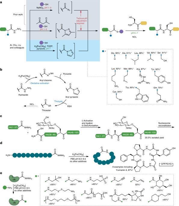 Acid-free activation of acyl hydrazides