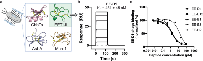 Development of LRRC15-binding disulfide-constrained peptides for PET imaging of cancer-associated fibroblasts