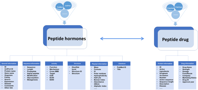 HORDB a comprehensive database of peptide hormones