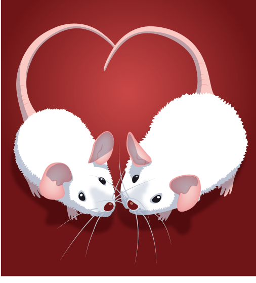 Oxytocin regulates adipose tissue lipolysis