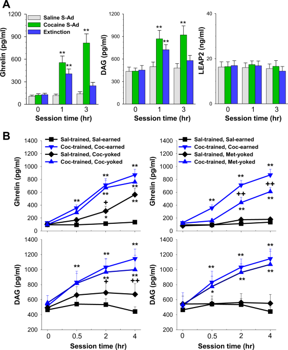 Involvement of the ghrelin system in the maintenance and reinstatement of cocaine-motivated behaviors: a role of adrener