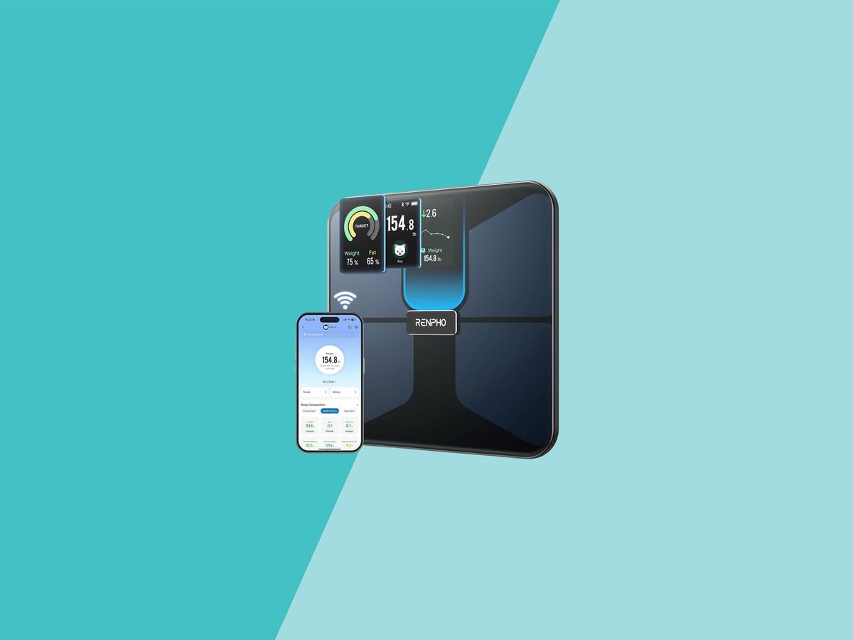 5 Best Smart Scales to Better Understand Your Overall Health