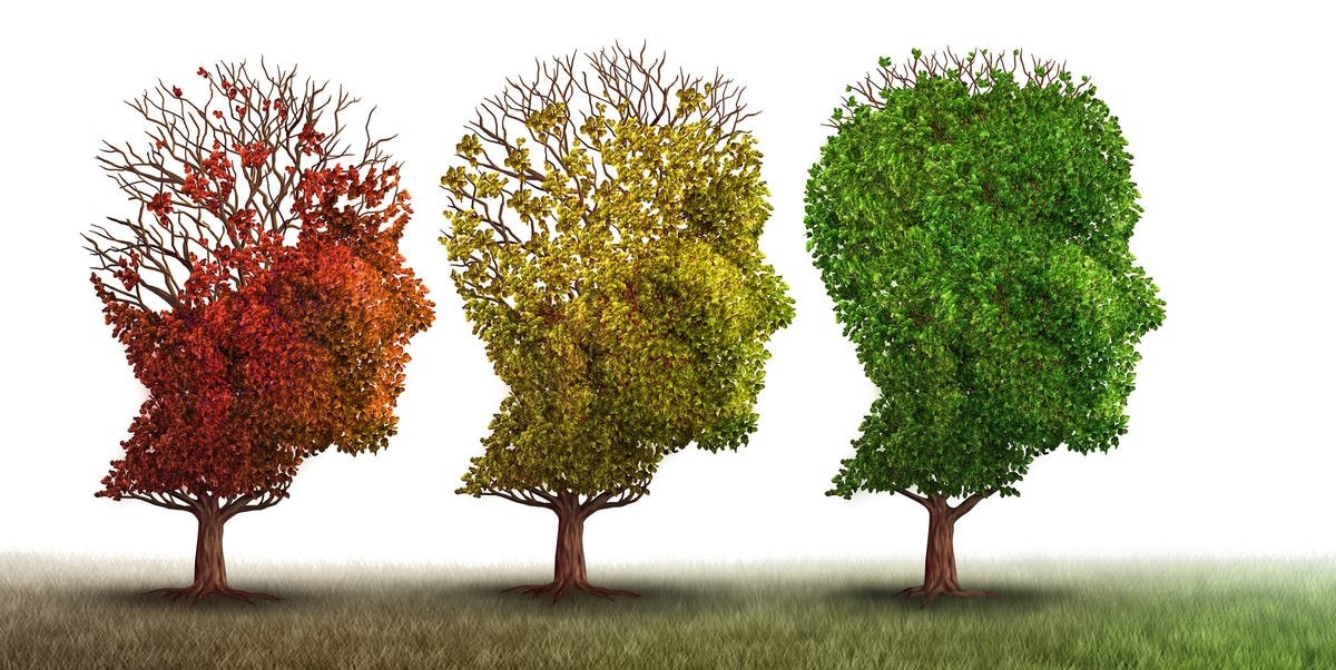 Signs of Brain Aging and How to Keep Your Mind Young, According to Experts.
