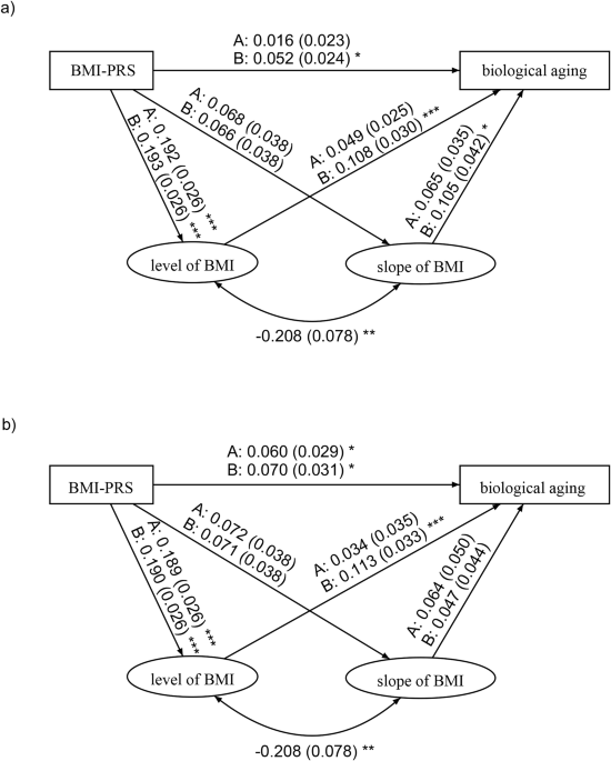 Adolescent weight gain trajectories and their associations with biological aging: a genetically informed study