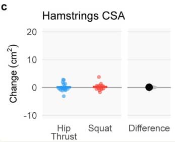 Exercise selection for the hamstrings: a guide