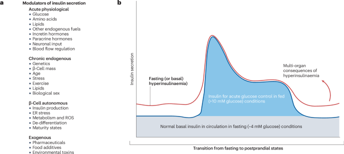 Nutrient and non-nutrient regulators of insulin secretion