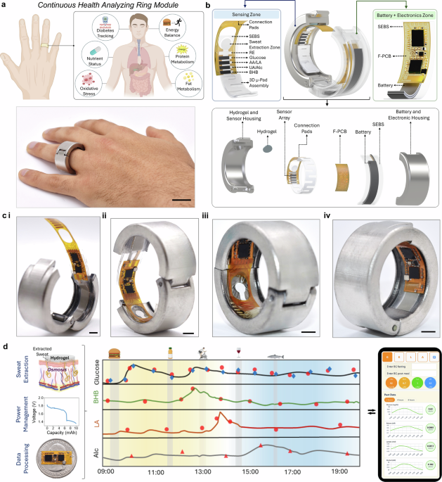 A fully integrated smart ring for daily biochemical monitoring