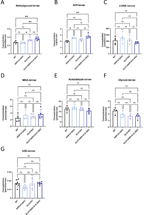The accumulation of methylglyoxal and acrolein impairs arginine homeostasis causing hyperglycemia and renal abnormalitie