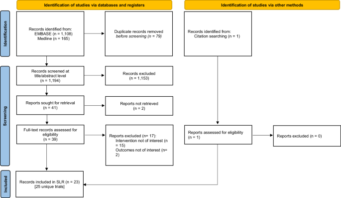Efficacy and safety of hydrolyzed collagen supplementation on skin health outcomes: a systematic literature review of ra