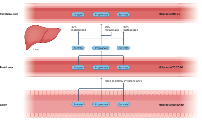 Short-chain fatty acids