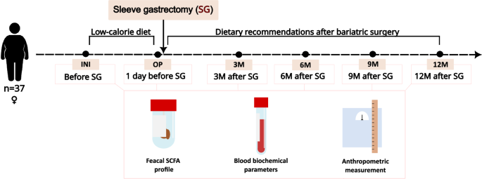 Longitudinal analysis of short-chain fatty acid profiles in stool of sleeve gastrectomy patients