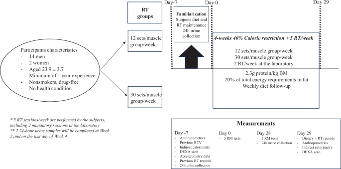 A 4-week caloric restriction with high volume resistance-training and high-protein diet does not increase fat-free mass