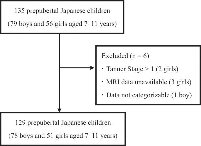 Total and regional skeletal muscle mass measured by magnetic resonance imaging in Japanese children aged 7–11 years