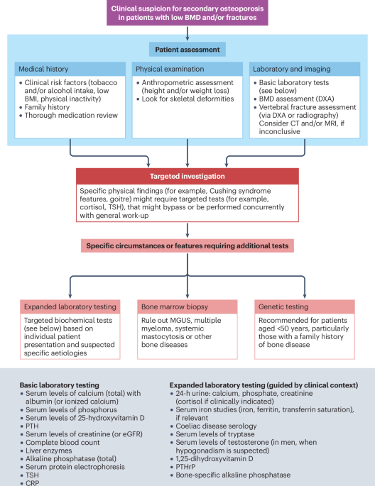 Pathophysiology, diagnosis and management of secondary osteoporosis