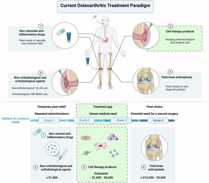Next-generation therapies for osteoarthritis: the evolving role of cell therapy products