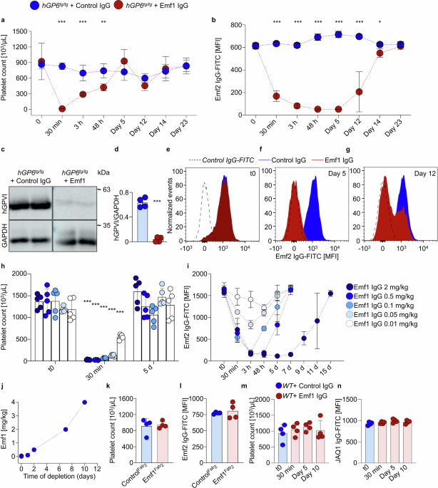 Partial downregulation of platelet glycoprotein VI by low affinity antibodies confers sustained and safe antithrombotic