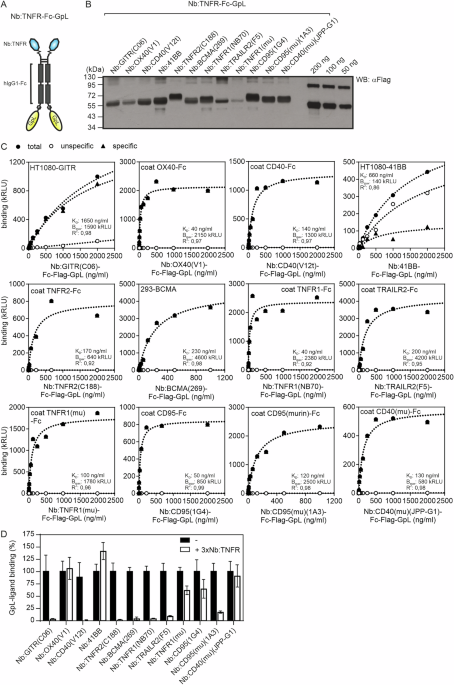 A simple and broadly applicable nanobody-based approach to generate potent TNFR agonists