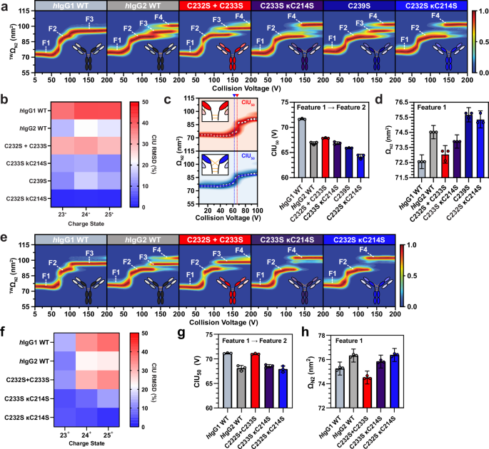 Gas-phase unfolding assay rapidly predicts structure-function relationships in engineered antibodies with tuned flexibil