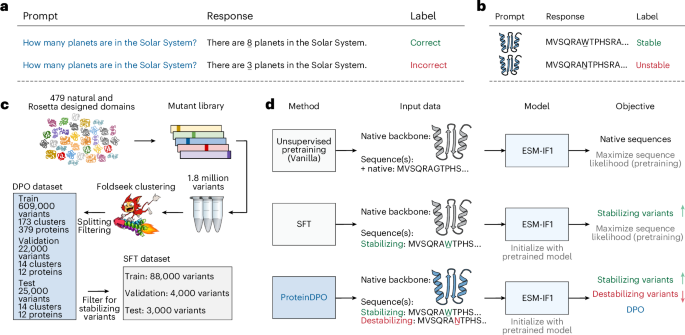 Aligning protein-generative models to experimental fitness with ProteinDPO