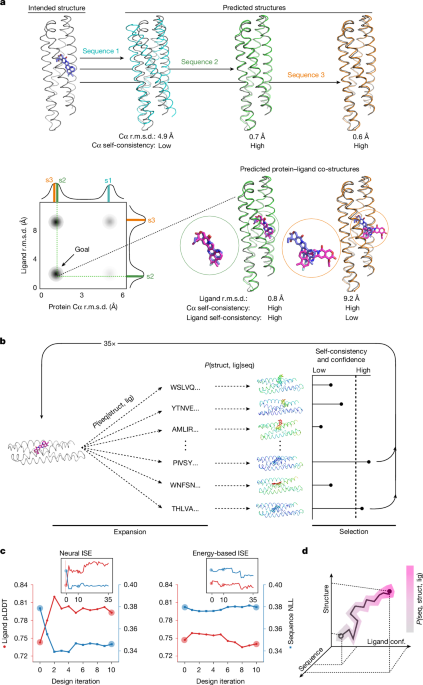 Zero-shot design of drug-binding proteins via neural iterative selection−expansion