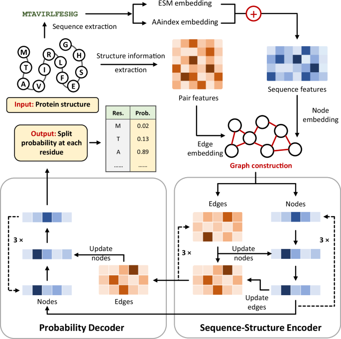 SplitSeek-Pro: accurate prediction of splittable sites on protein structures