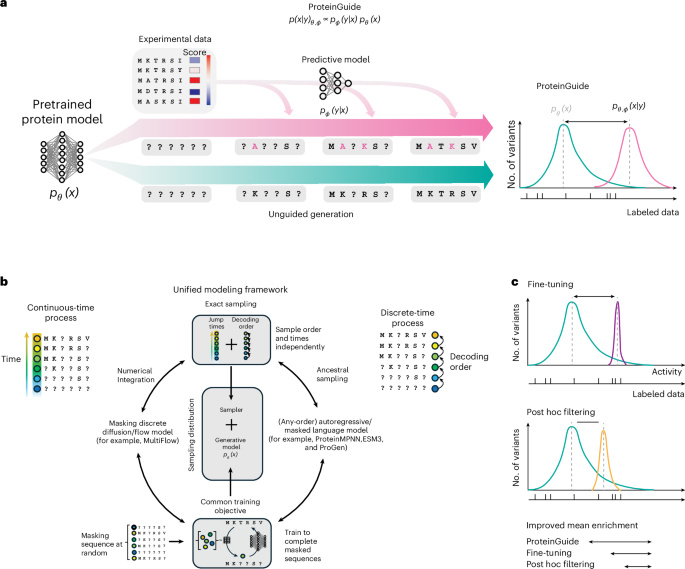 Property guidance for protein sequence generative models with ProteinGuide