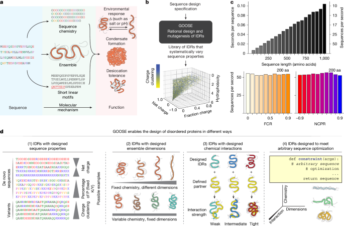 Rational design of disordered proteins for sequence–function investigation