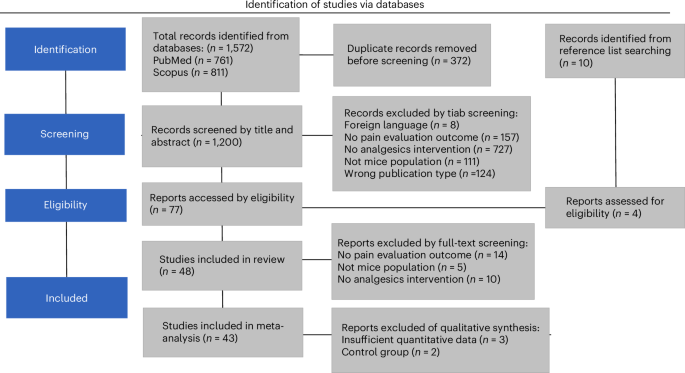 Analgesic drug efficacy in mouse postoperative pain: a systematic review and meta-analysis