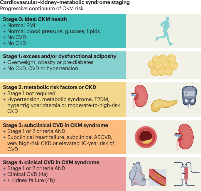 The therapeutic approach to cardiovascular–kidney–metabolic syndrome