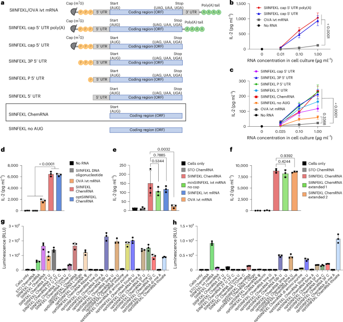 Chemically synthesized, non-capped and non-polyadenylated peptide-coding RNA efficiently induces antigen-specific CD8+ T