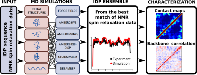 NMR spin relaxation enables the selection of realistic intrinsically disordered protein ensembles from molecular dynamic