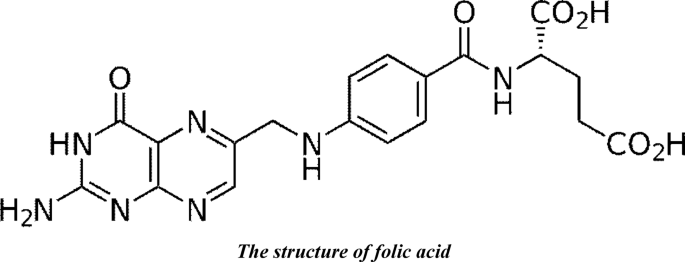 Folic acid–loaded amino-functionalized MCM-41 as a drug delivery system for cervical cancer modulating apoptotic and sur