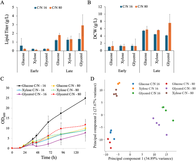 Carbon source–driven metabolic and regulatory remodeling defines phenomic states in Lipomyces starkeyi