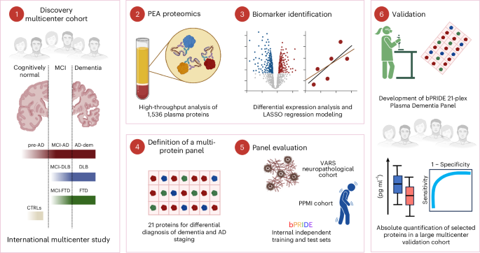 Plasma proteome profiling identified biomarkers for the differential diagnosis and molecular staging of neurodegenerativ