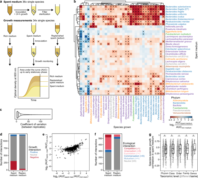 Systematic profiling of growth interactions in human gut microbiome species