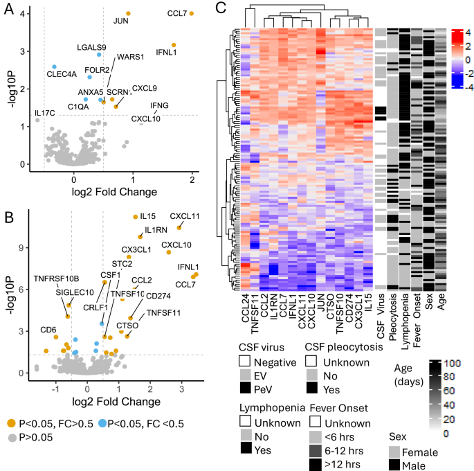 Absent pleocytosis in infant viral central nervous system infections reflects lymphocyte depletion and cytokine activati