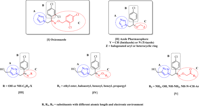 Design, synthesis, molecular modelling and biological evaluation of oxiconazole-based 1,2,3-triazoles as dually acting a
